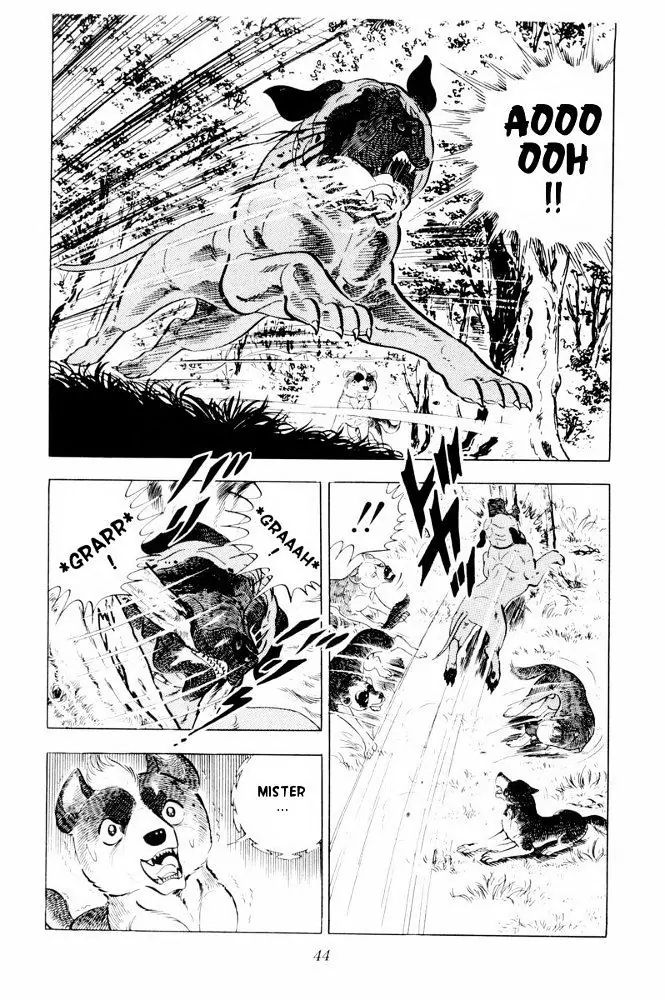 Ginga Nagareboshi Gin - Vol.6 Chapter 31: The Oath To Supreme Commander Riki