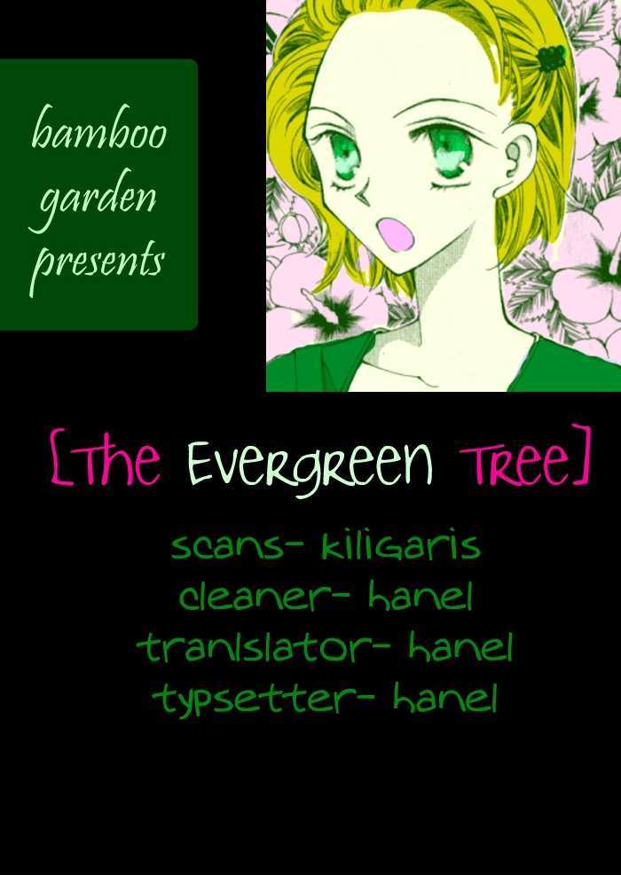 The Evergreen Tree - Chapter 0 : The Evergreen Tree