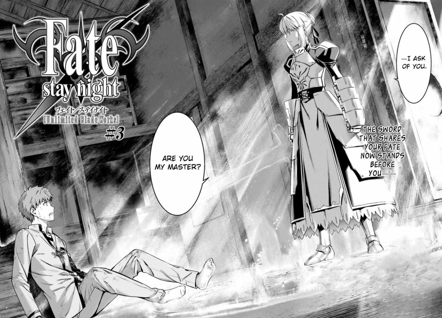 Fate/stay Night - Unlimited Blade Works - Chapter 3