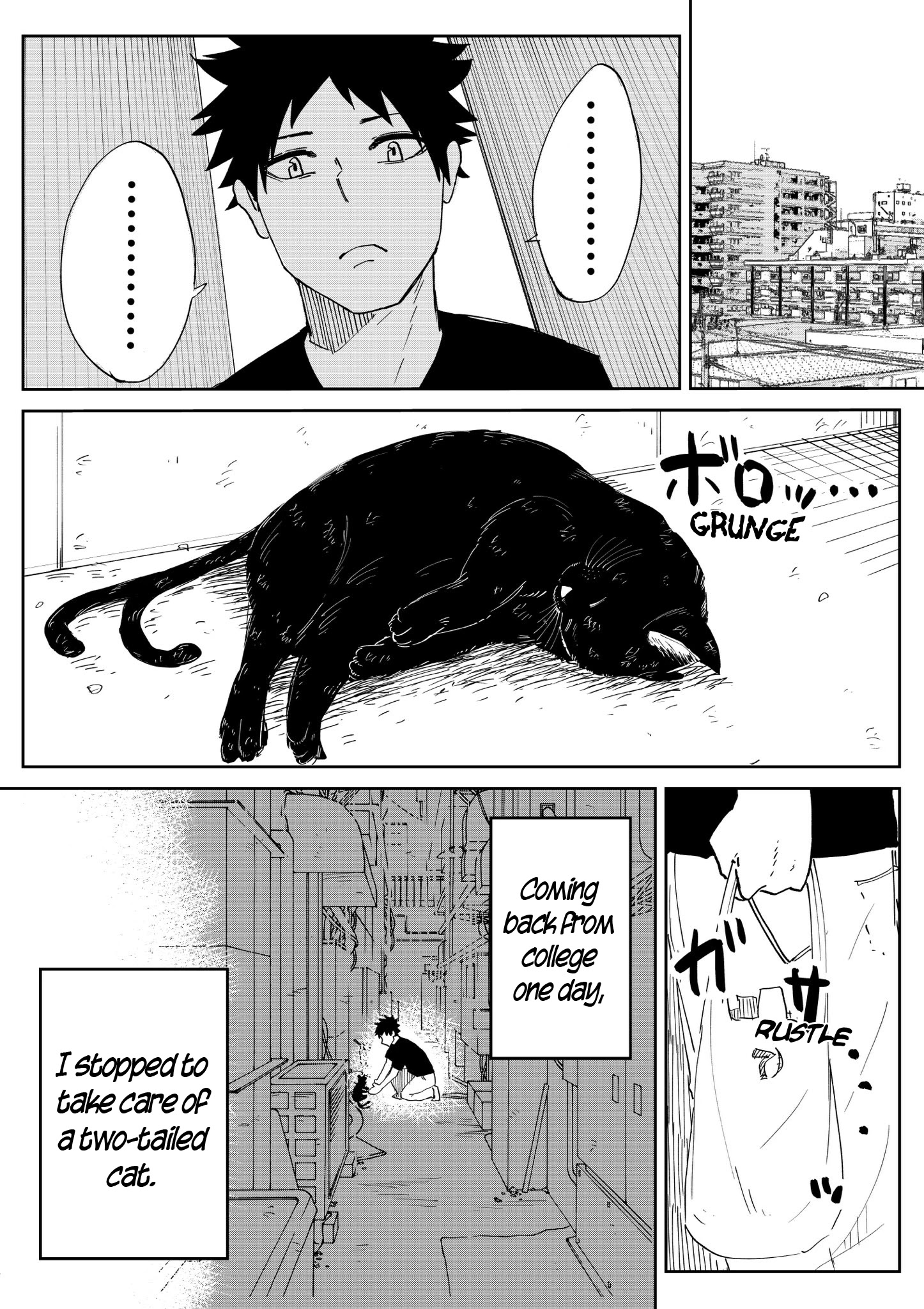 The Cat Who Wanted To Be A Bride - Chapter 1