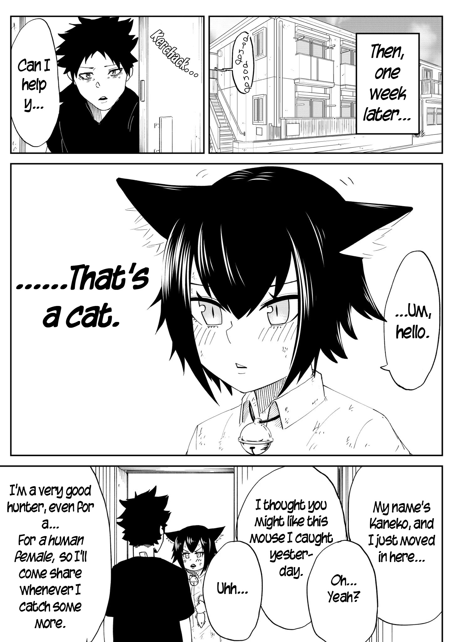 The Cat Who Wanted To Be A Bride - Chapter 1