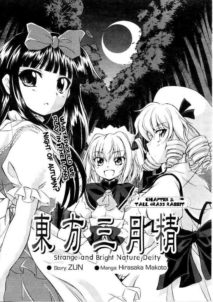 Touhou Sangetsusei: Strange And Bright Nature Deity - Vol.1 Chapter 3 : Tall Grass Rabbit