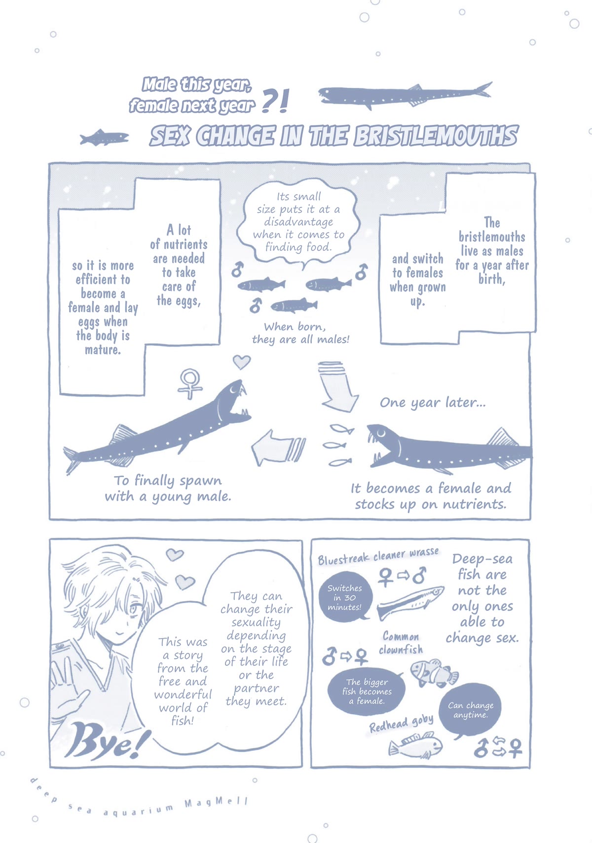 Deep Sea Aquarium Magmell - Chapter 37.5: Vol. 7 Bonus