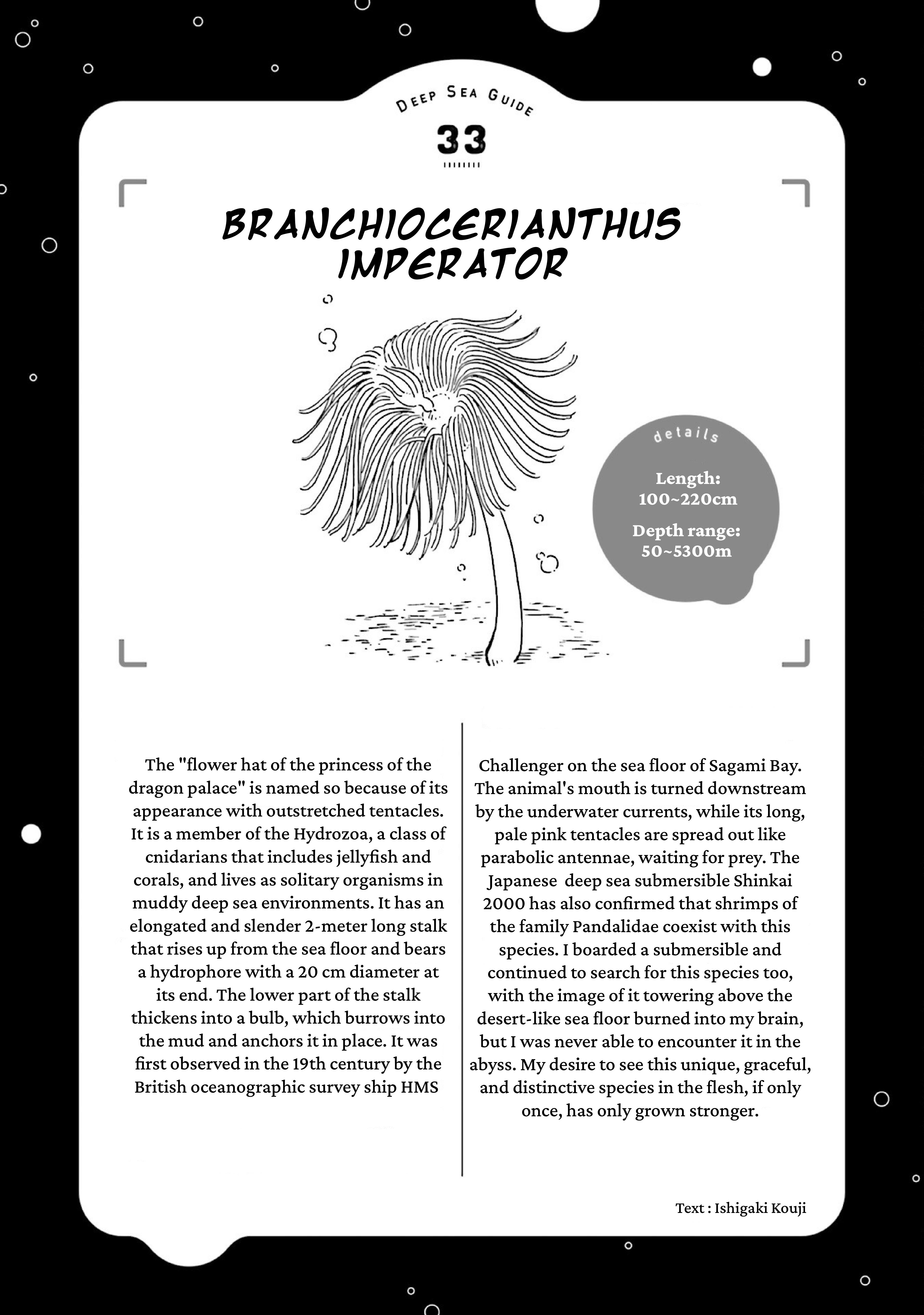 Deep Sea Aquarium Magmell - Vol.8 Chapter 40: Branchiocerianthus Imperator