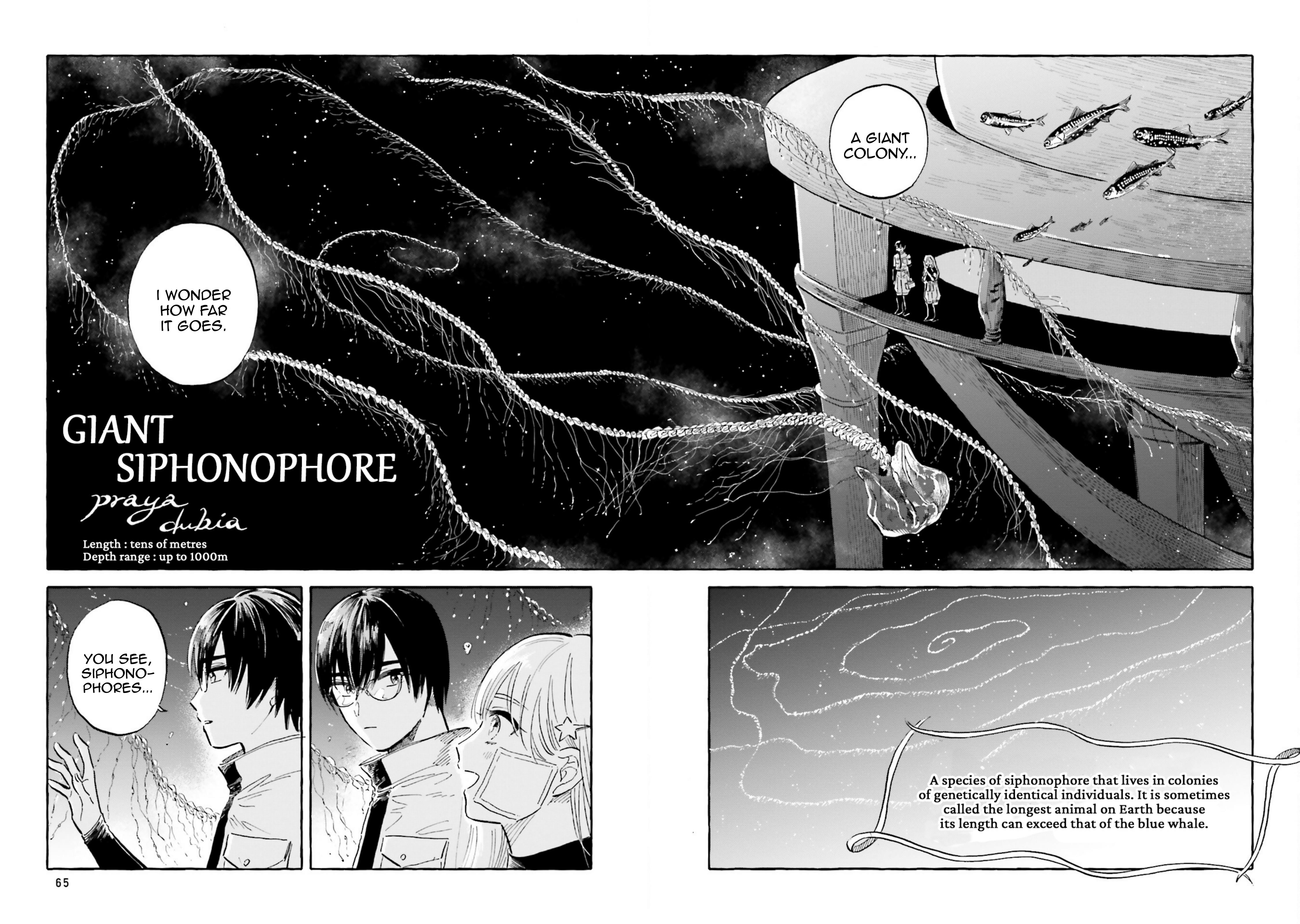 Deep Sea Aquarium Magmell - Vol.8 Chapter 39: Giant Siphonophore