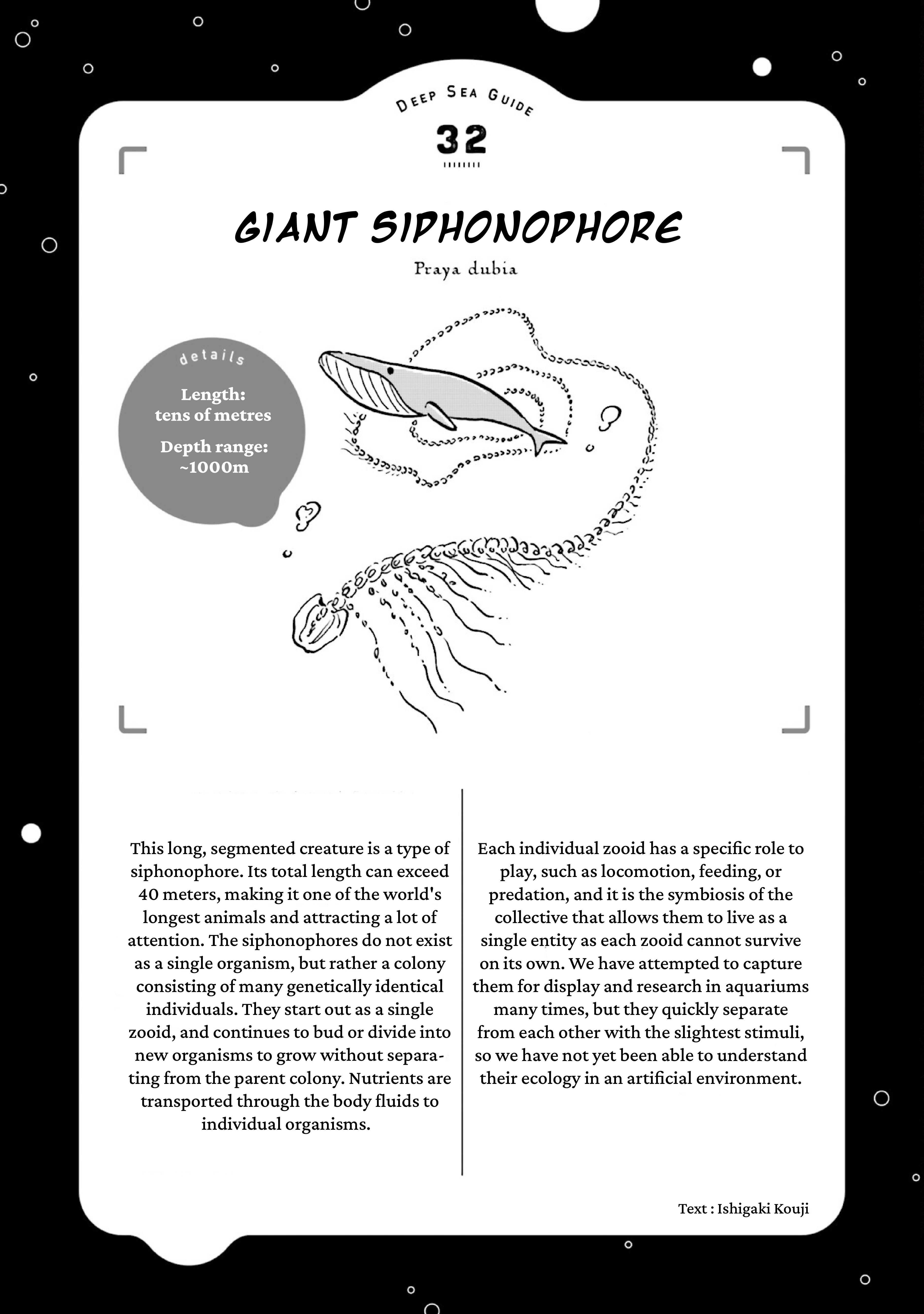 Deep Sea Aquarium Magmell - Vol.8 Chapter 39: Giant Siphonophore