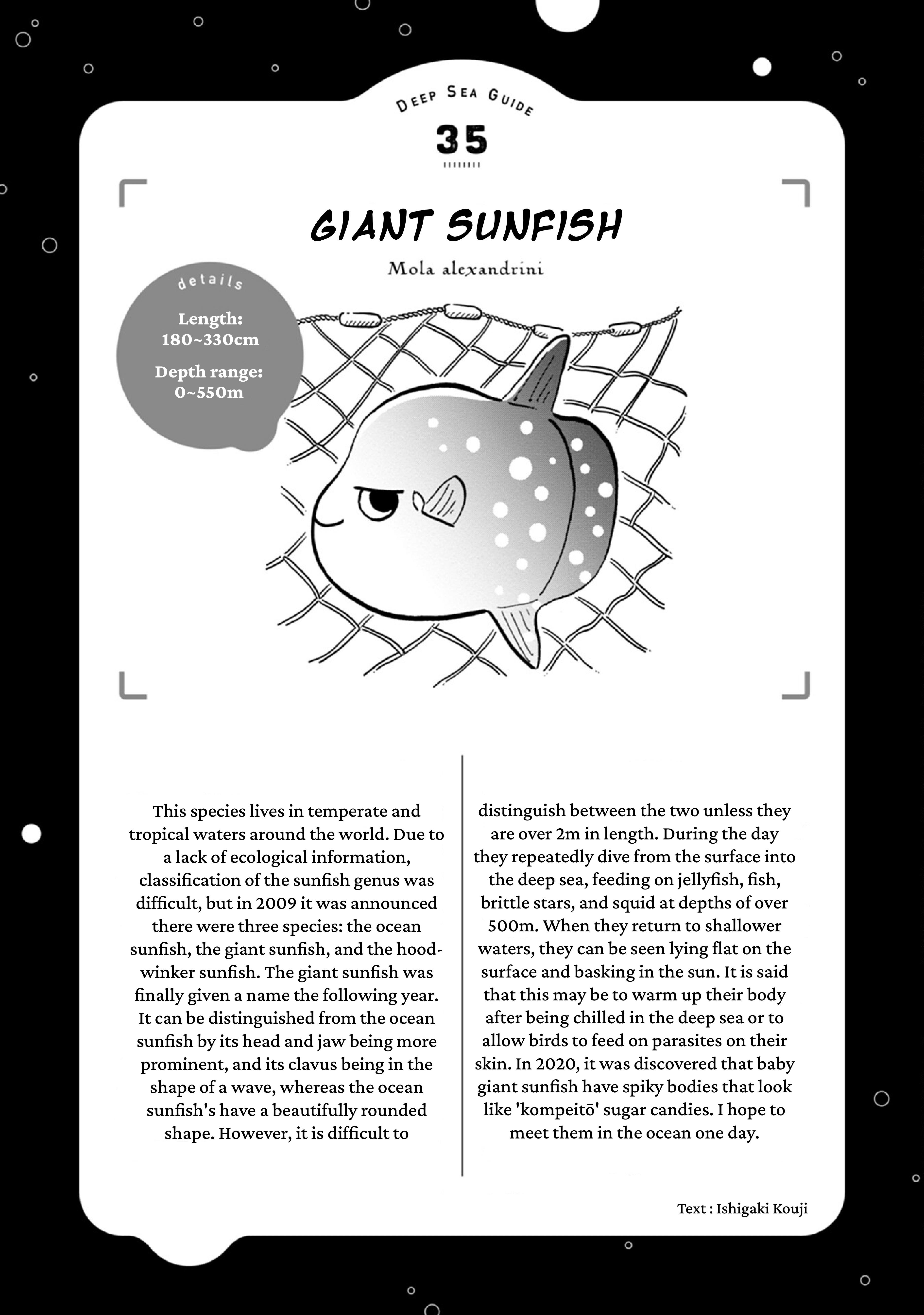 Deep Sea Aquarium Magmell - Vol.9 Chapter 44: Giant Sunfish, Part 2