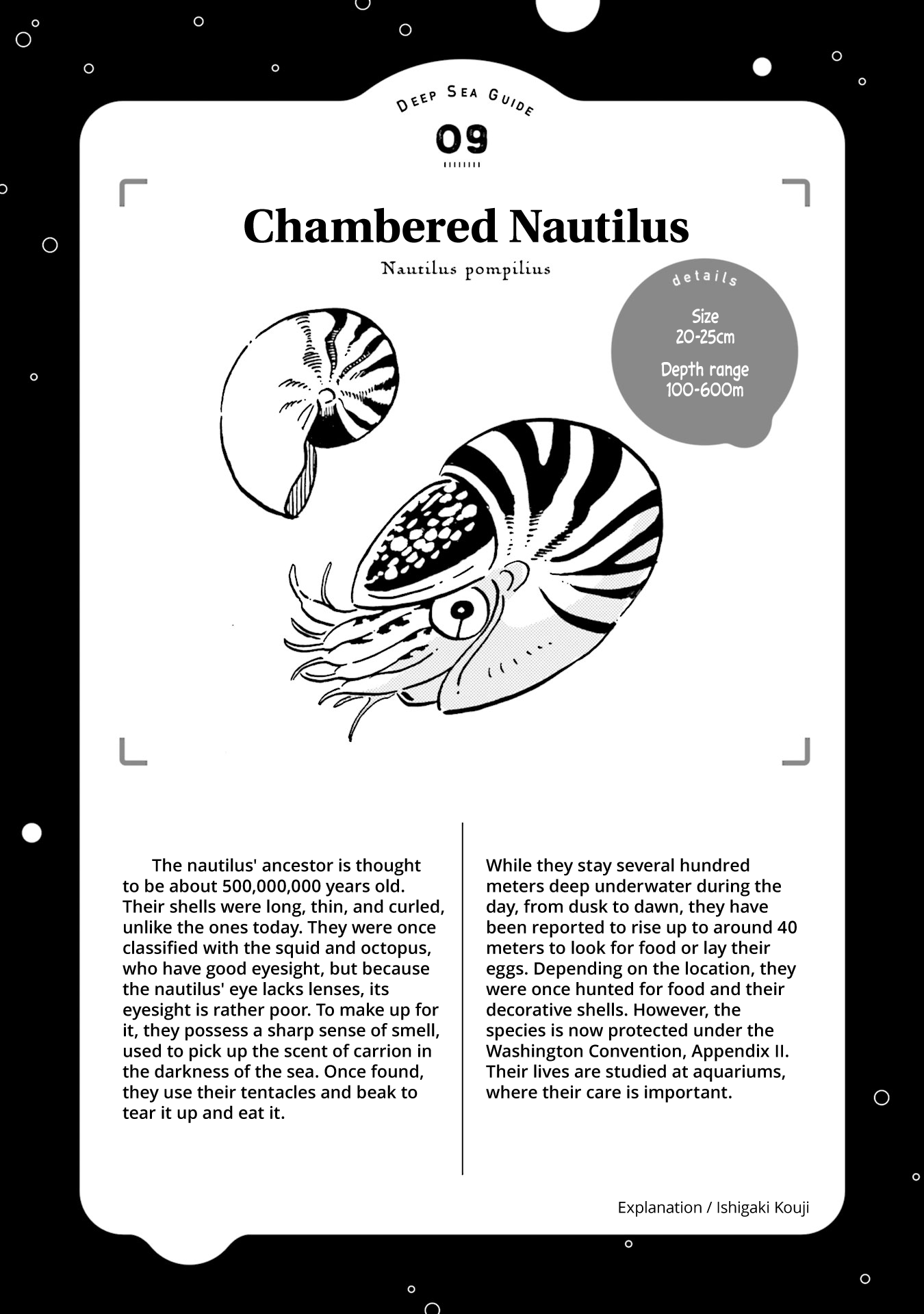 Deep Sea Aquarium Magmell - Chapter 10: Nautilus