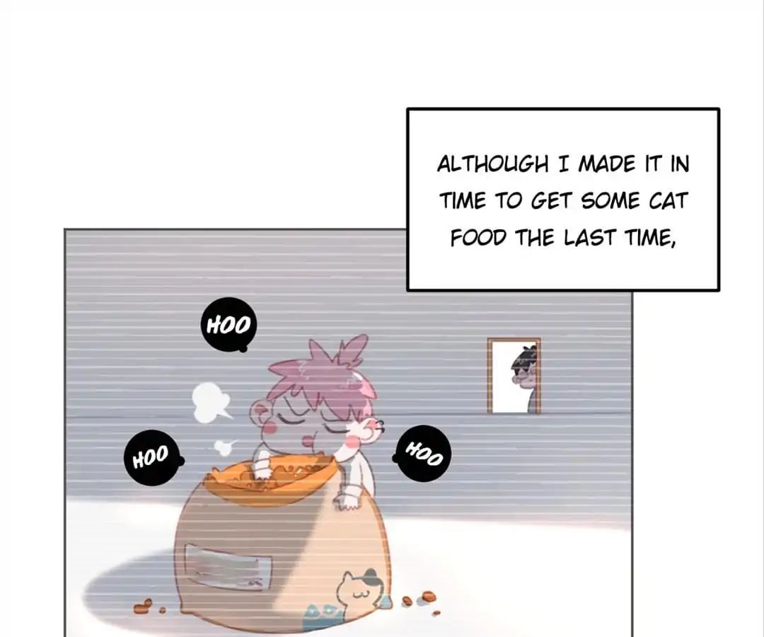 A Cat's World - Chapter 10