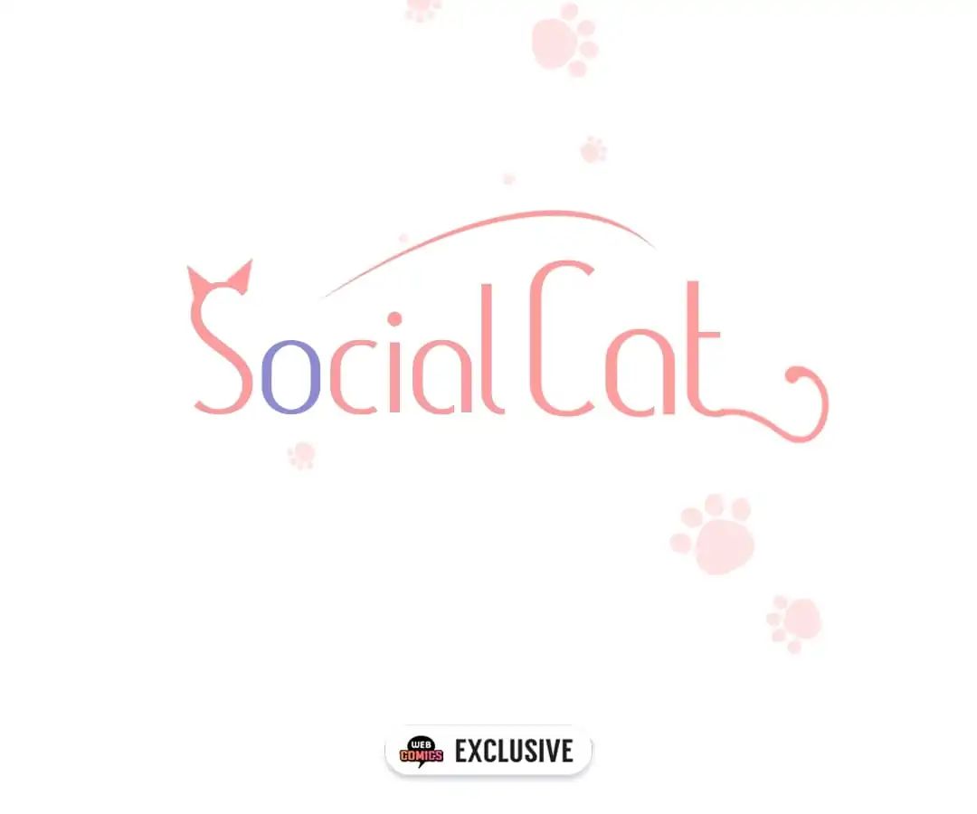 A Cat's World - Chapter 14