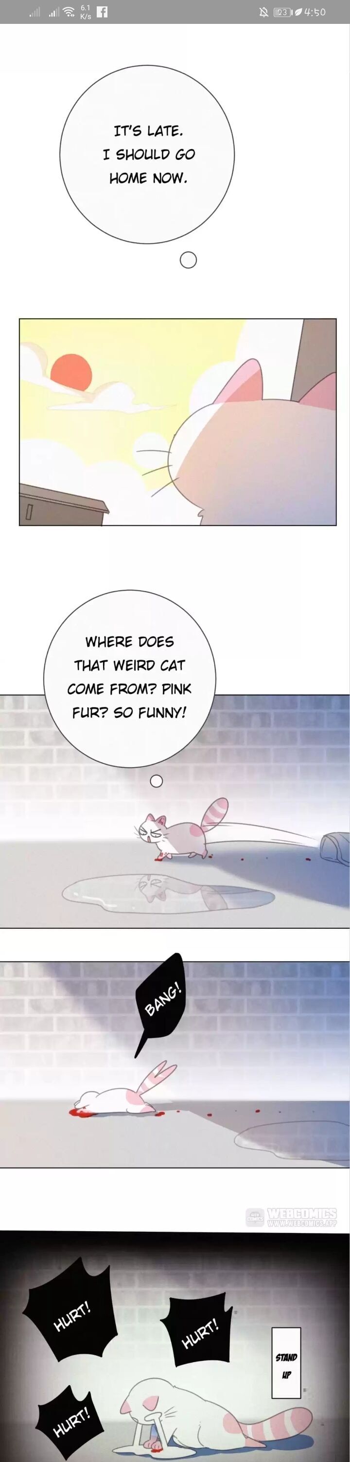 A Cat's World - Chapter 39.5