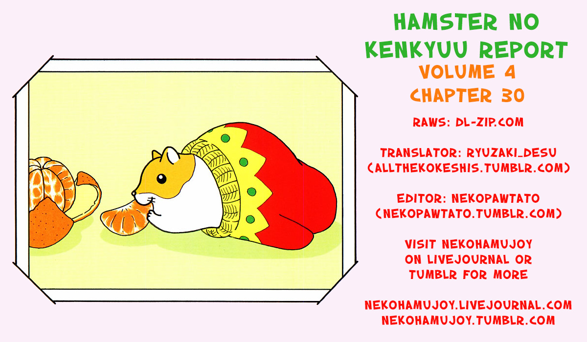 Hamster No Kenkyuu Report - Chapter 30: Shimajiro S Story