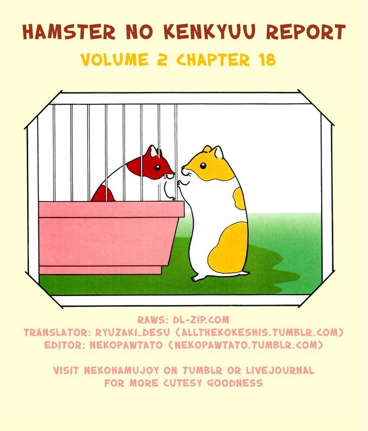 Hamster No Kenkyuu Report - Chapter 18 : Chibimaro S Story