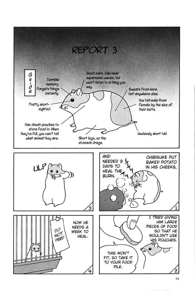 Hamster No Kenkyuu Report - Chapter 2