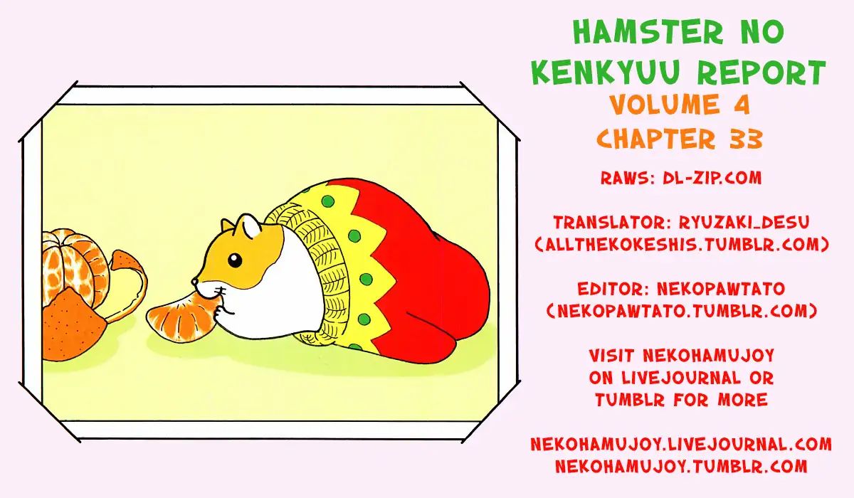 Hamster No Kenkyuu Report - Chapter 33: Koro S Long Day