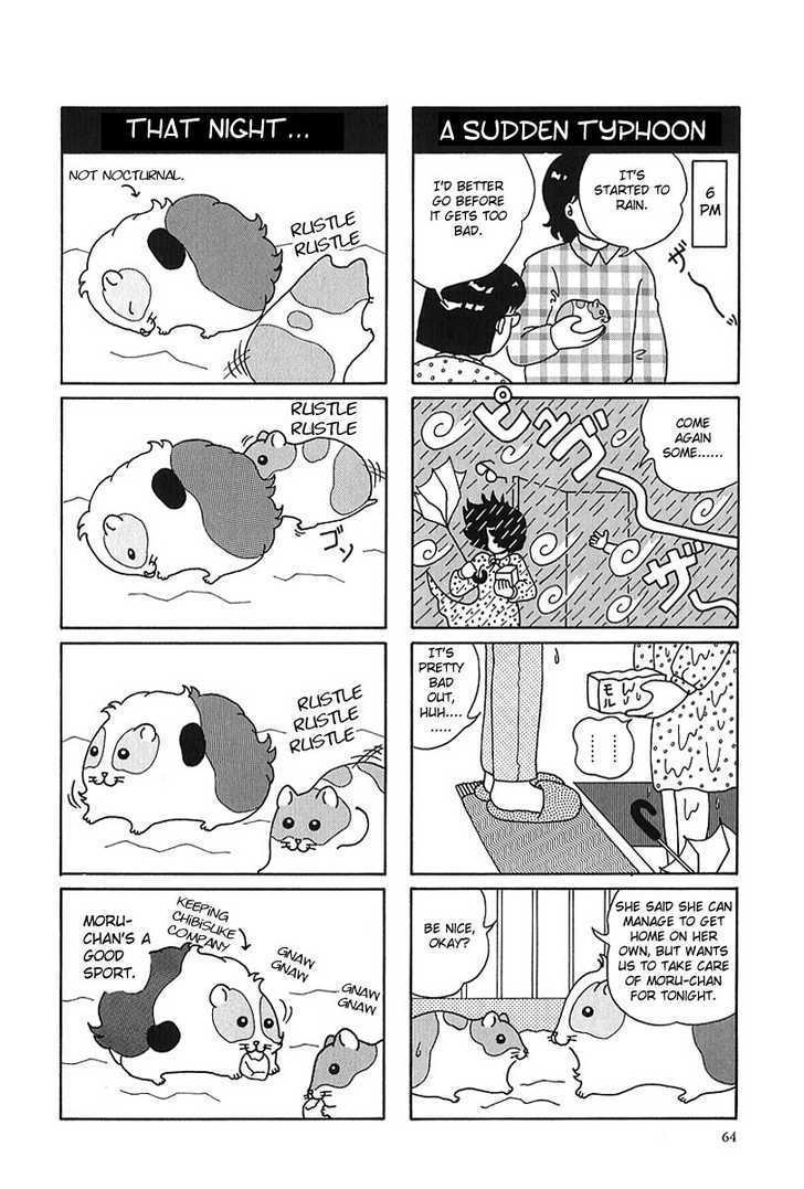 Hamster No Kenkyuu Report - Chapter 7