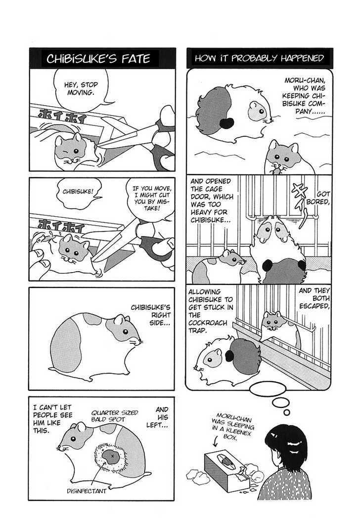 Hamster No Kenkyuu Report - Chapter 7