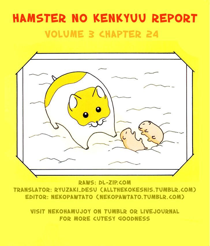 Hamster No Kenkyuu Report - Chapter 24 : Report 27