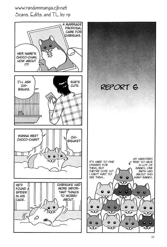 Hamster No Kenkyuu Report - Chapter 4