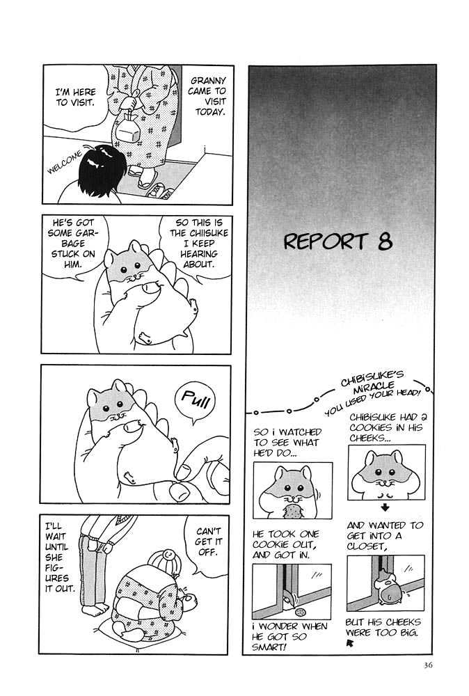 Hamster No Kenkyuu Report - Chapter 4