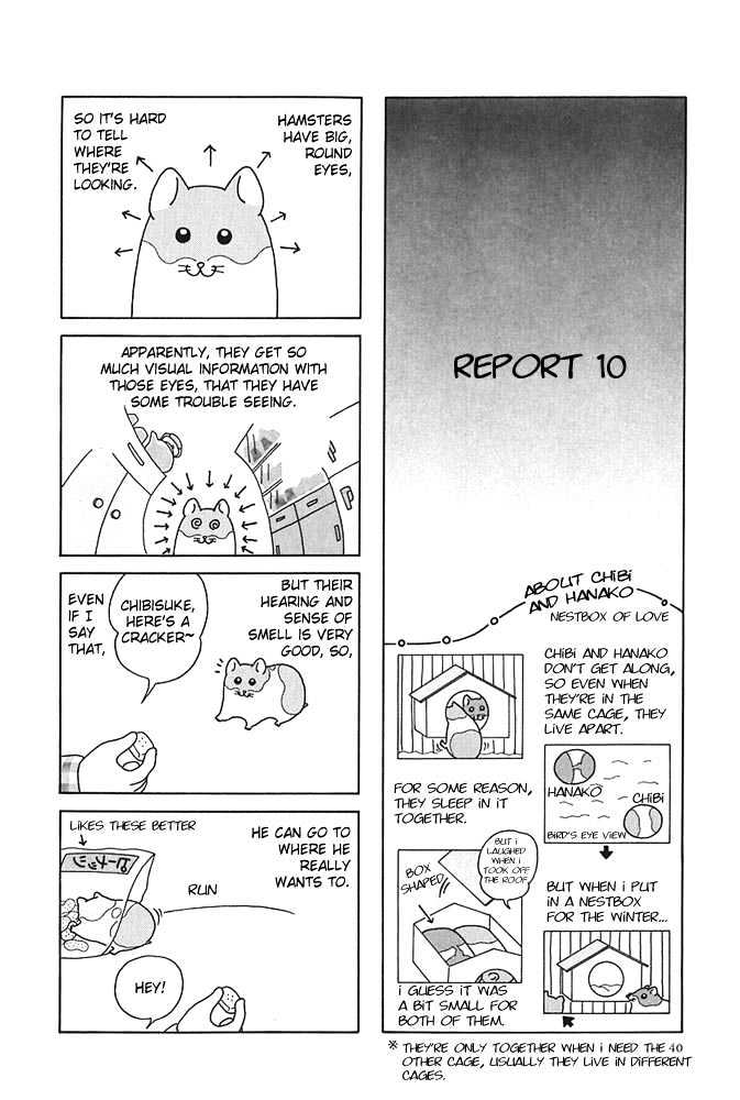 Hamster No Kenkyuu Report - Chapter 4