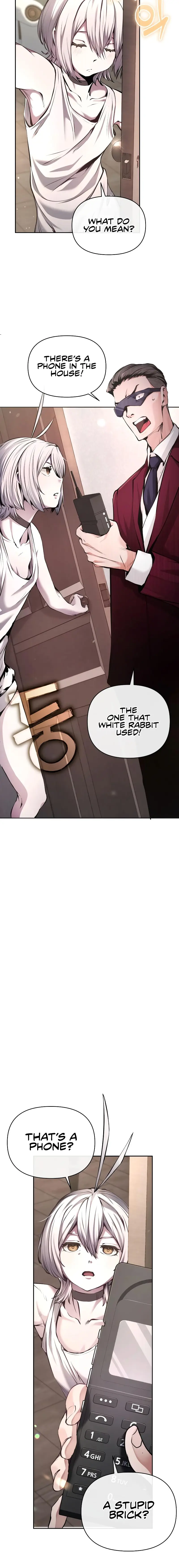 White Rabbit In Wonderland - Chapter 2