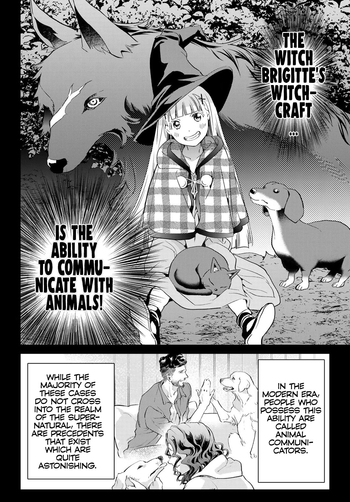 Tricks Dedicated To Witches - Chapter 25: Brigitte’s Witchcraft