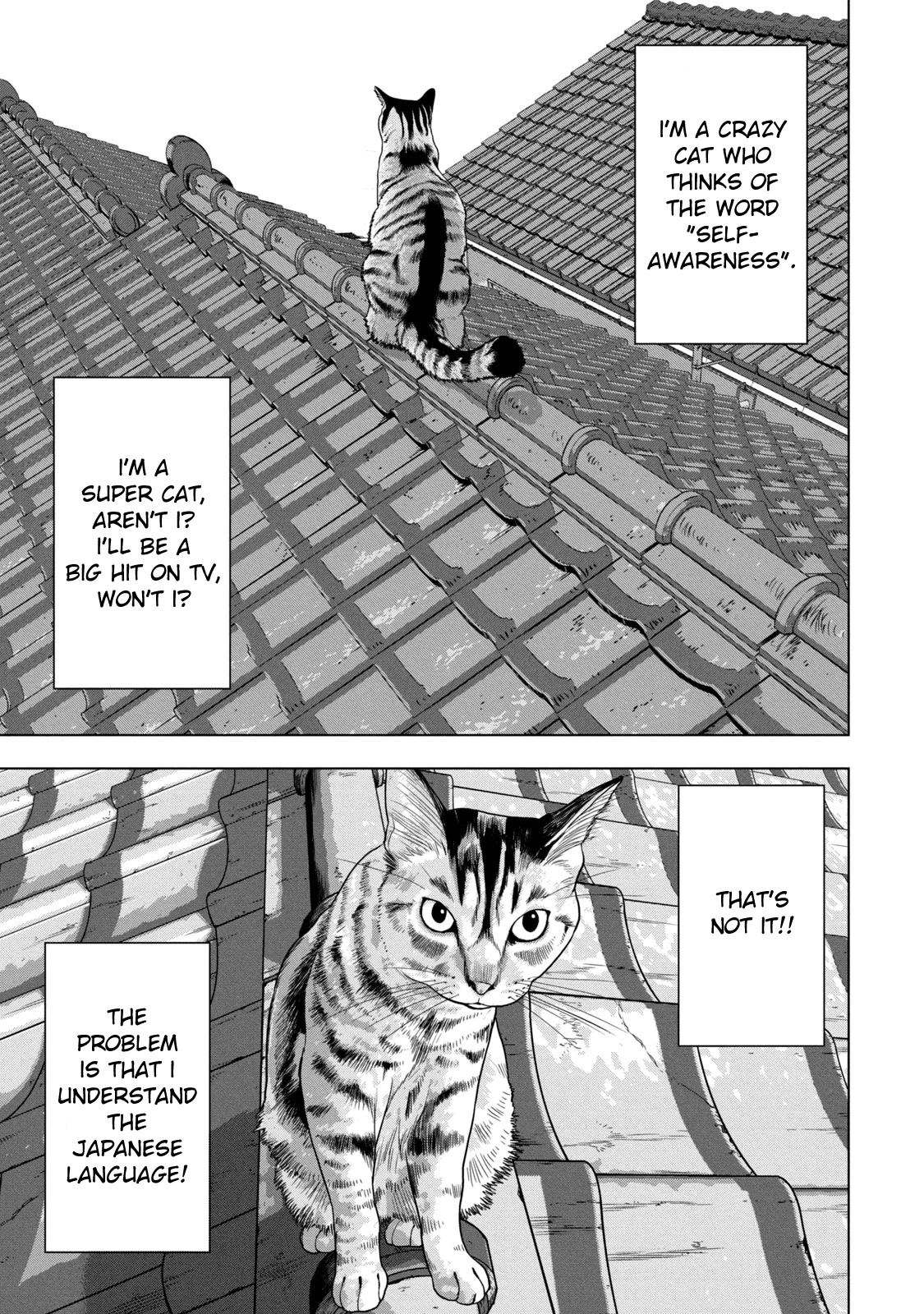 Under Ninja - Chapter 41: Am I Not A Cat?