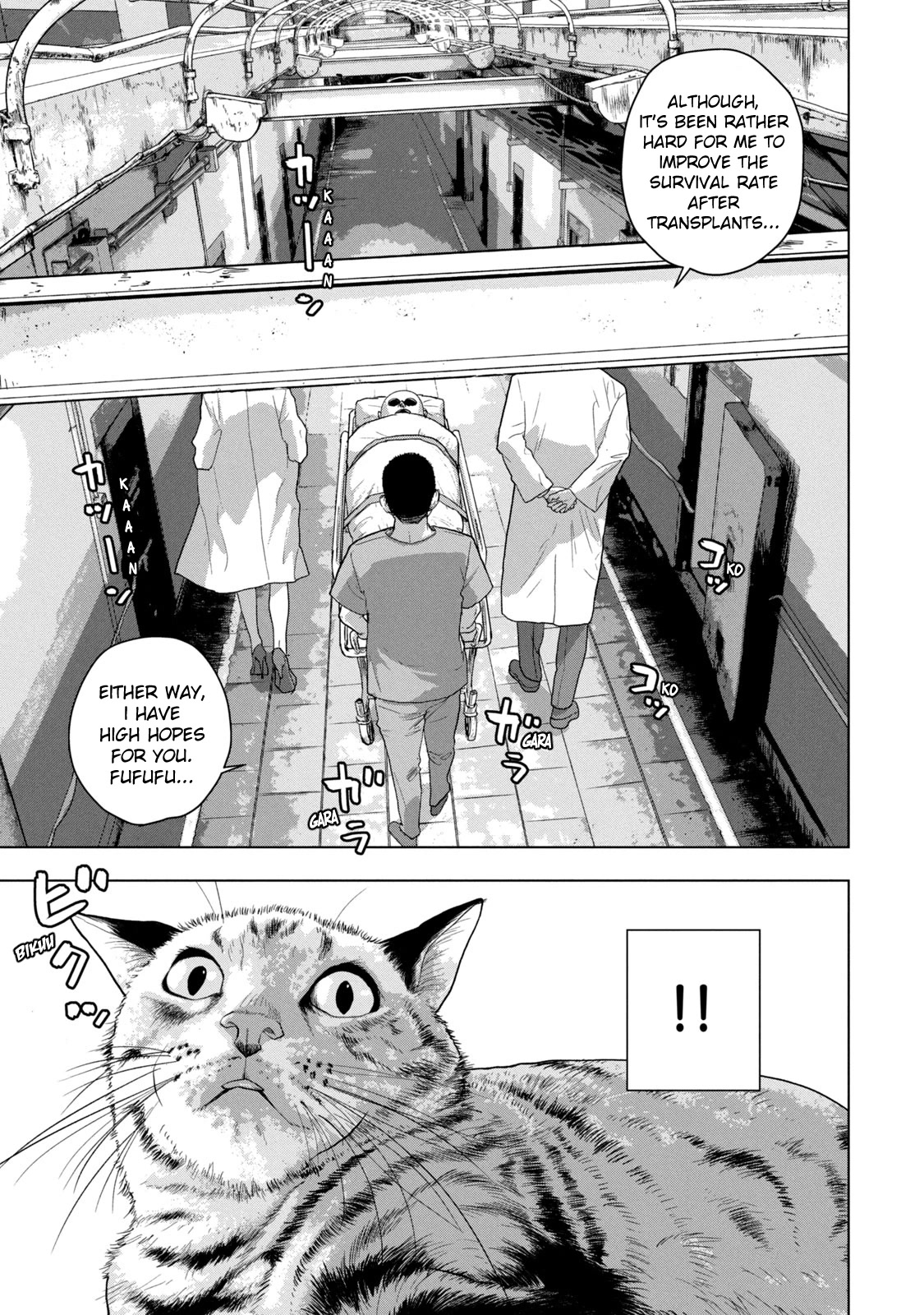 Under Ninja - Chapter 41: Am I Not A Cat?