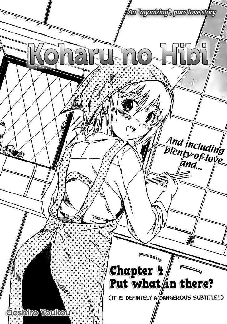 Koharu No Hibi - Vol.1 Chapter 4 : Put What In There?