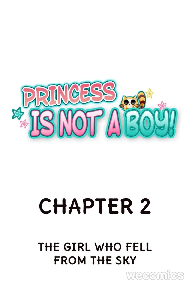 Princess Is Not A Boy - Chapter 2: The Girl Who Fell From The Sky