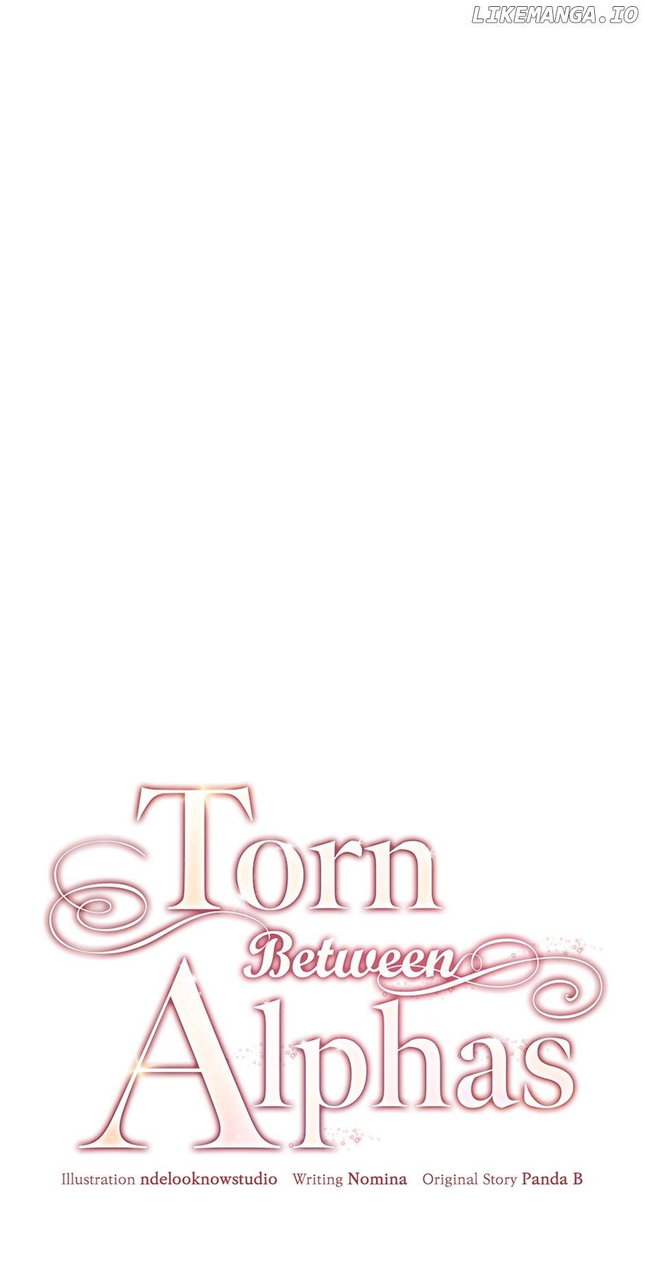 Torn Between Alphas - Chapter 22