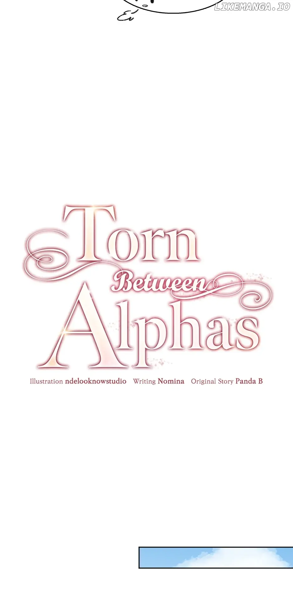 Torn Between Alphas - Chapter 11