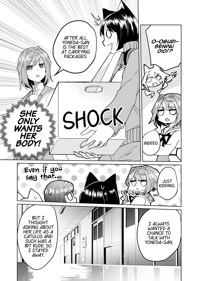 Nekomusume Shoukougun - Chapter 62: Friend Arrangement