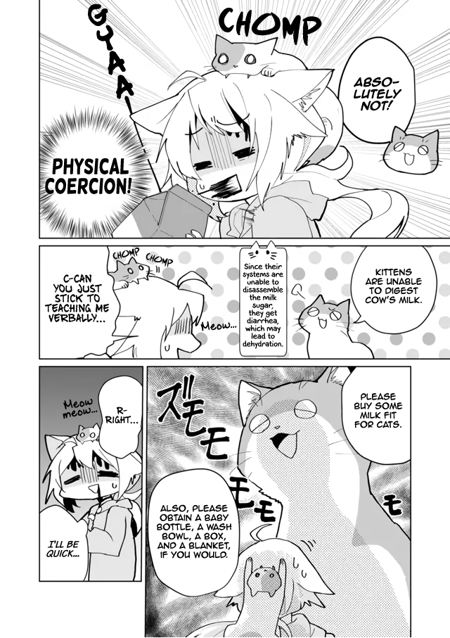 Nekomusume Shoukougun - Chapter 71: Frantic Childcare