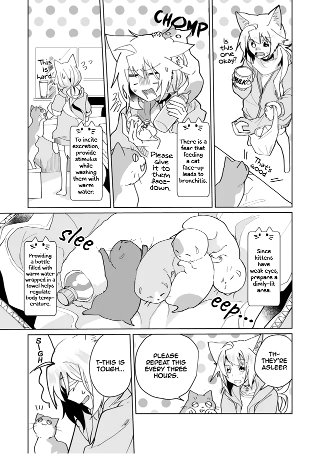 Nekomusume Shoukougun - Chapter 71: Frantic Childcare