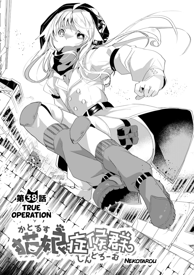 Nekomusume Shoukougun - Chapter 38: True Operation