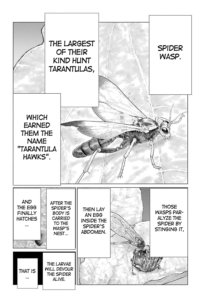 Blattodea - Chapter 10: I Will Protect You