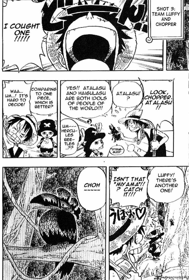 One Piece - Chapter 230 : The Hunt For South Bird!!!