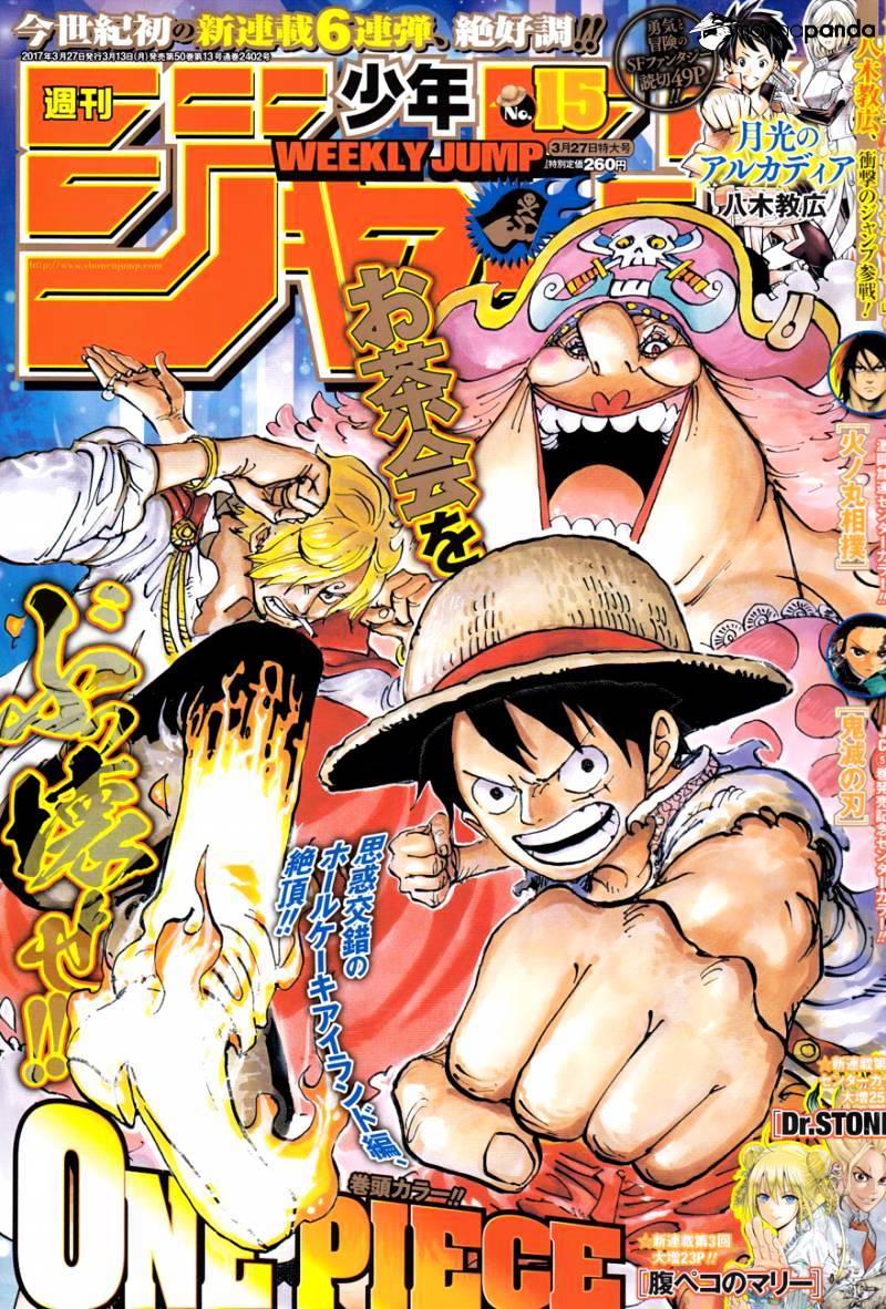 One Piece - Chapter 858 : Meeting