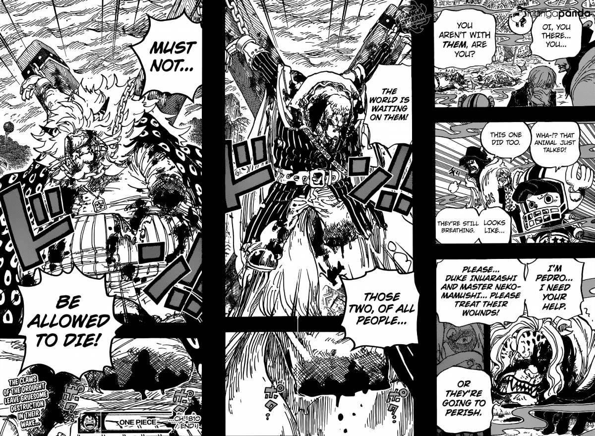 One Piece - Chapter 810 : The Curly Hat Pirates Arrive