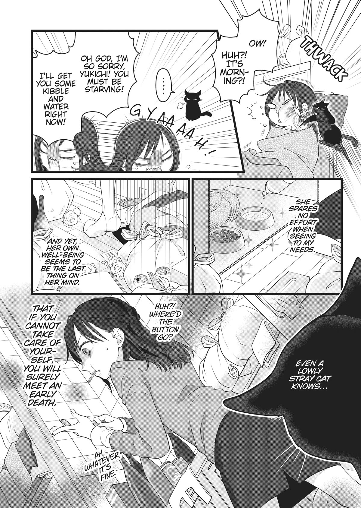 The Deceitful Cat Is Depressed Again Today - Chapter 35.5