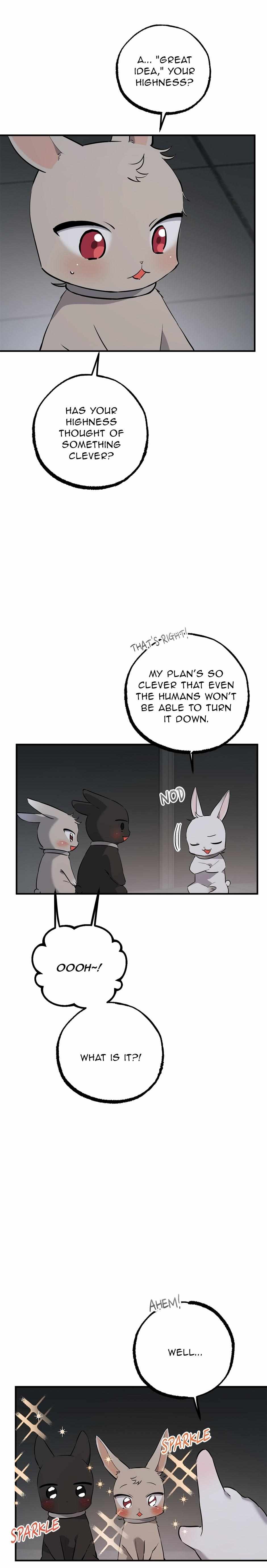 Habibi's Rabbits - Chapter 47