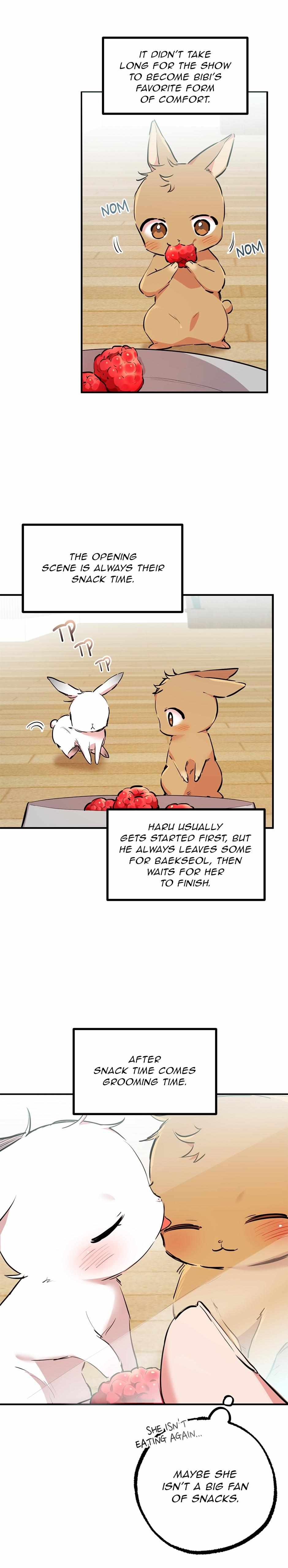 Habibi's Rabbits - Chapter 28