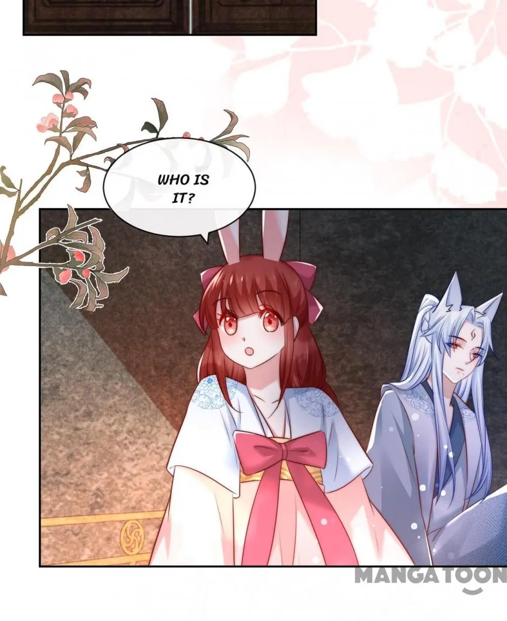 Cynical Master Raises Rabbit Spirit - Chapter 26