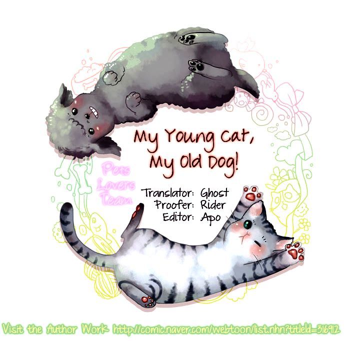 My Young Cat And My Old Dog - Chapter 62 : Listen To Me