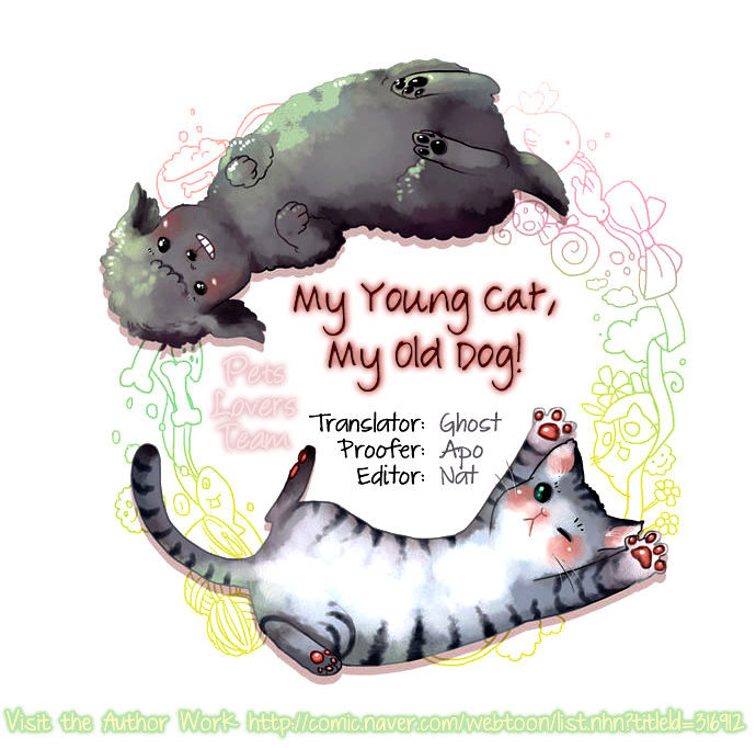 My Young Cat And My Old Dog - Chapter 82 : What Do I Do