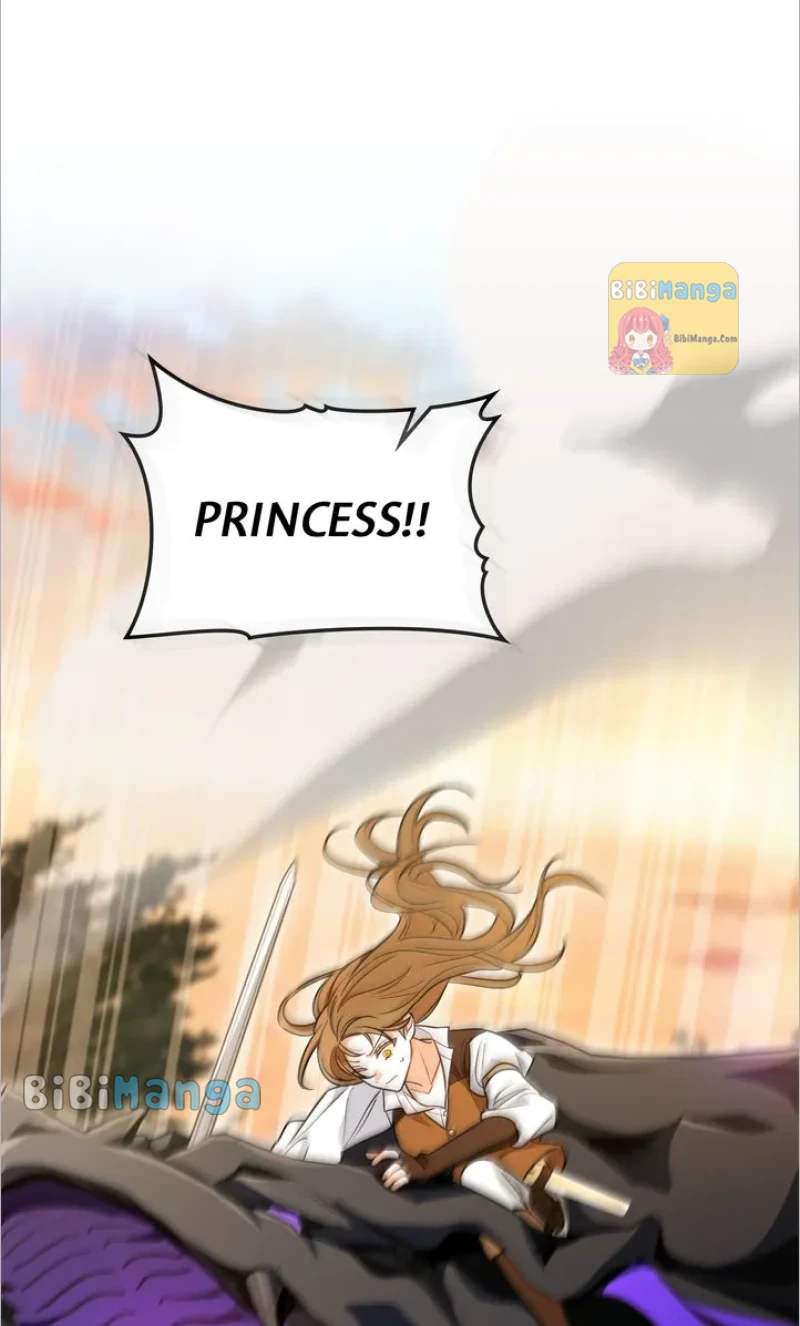 Falling For A Dying Princess - Chapter 28