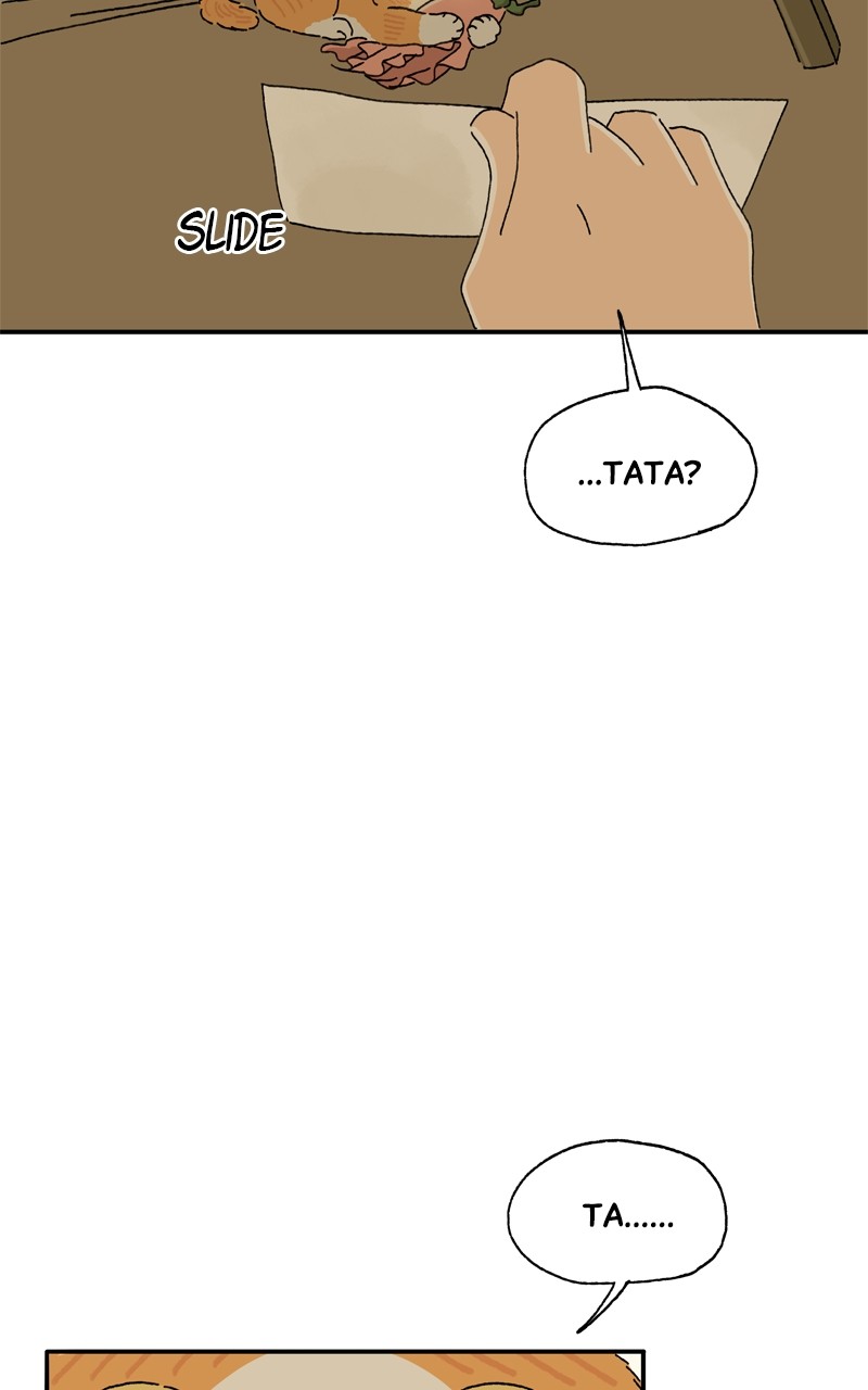 Tata The Cat - Chapter 12