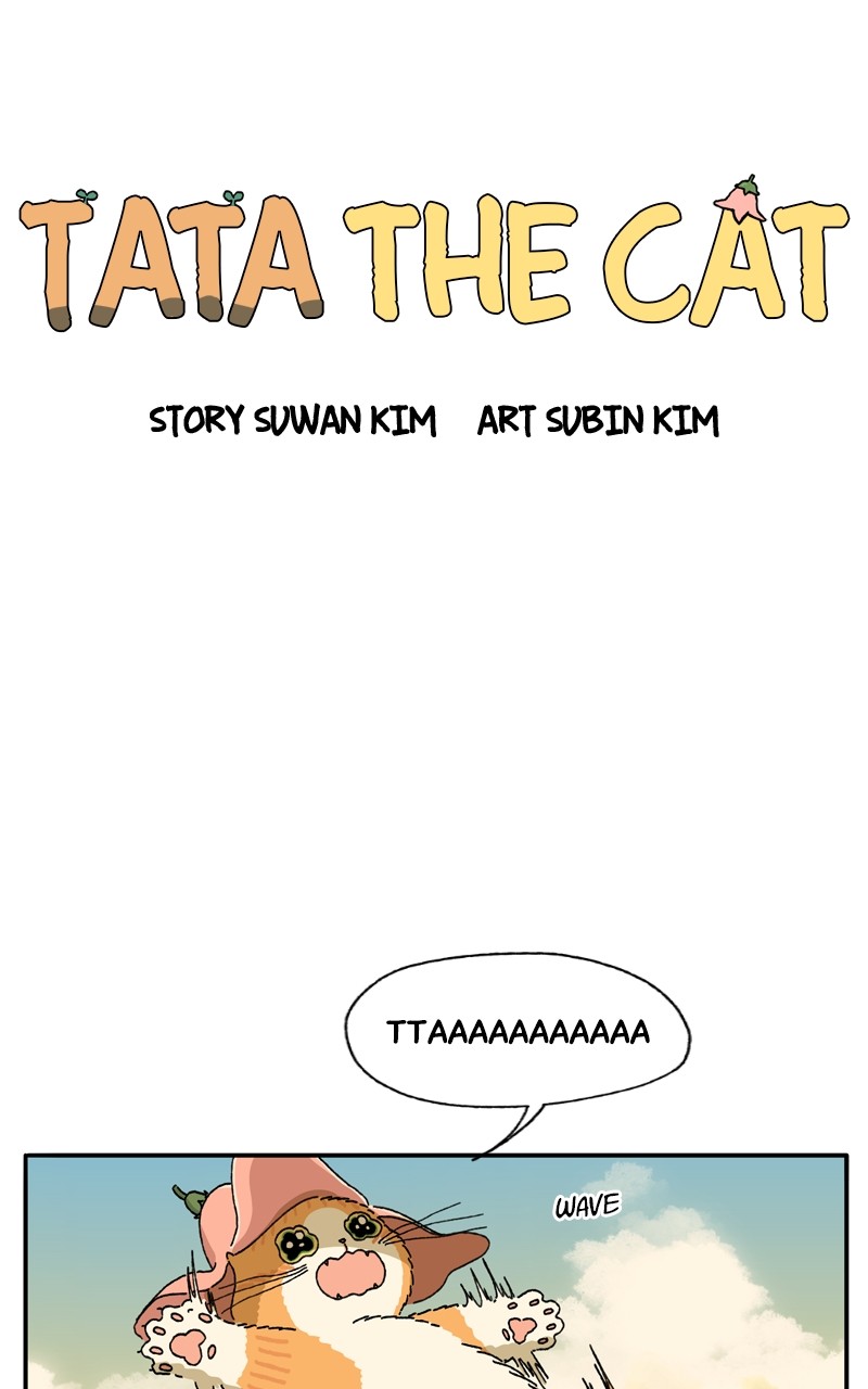 Tata The Cat - Chapter 19